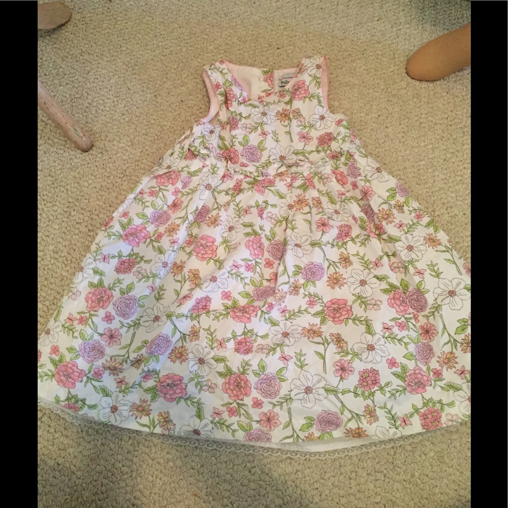 Polly & Friends Dress 4T floral liner gently worn